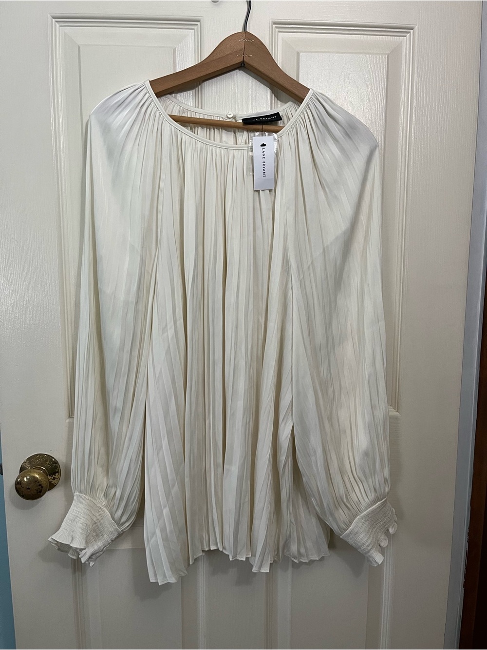 Lane Bryant NWT Pleated Long-Sleeve Blouse 18/20 Professional